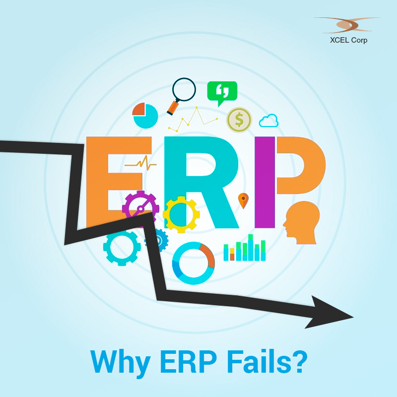 Causes for ERP system failures, Jit Goel, XCEL Corp Jit Goel