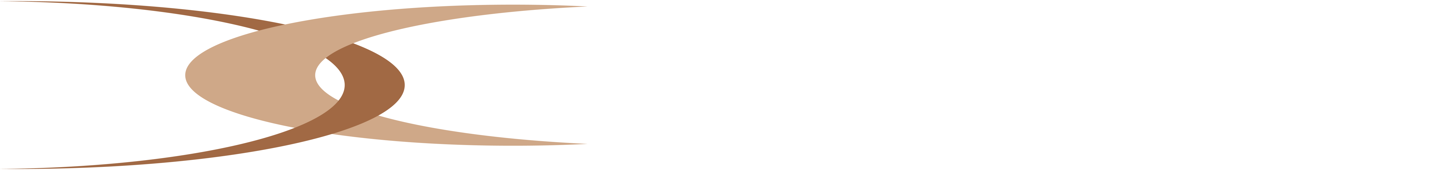 XCEL Corp